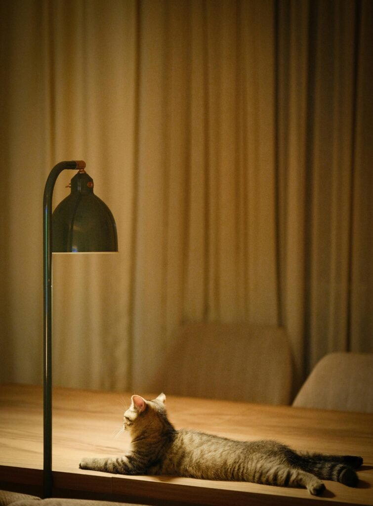 Zebra blinds