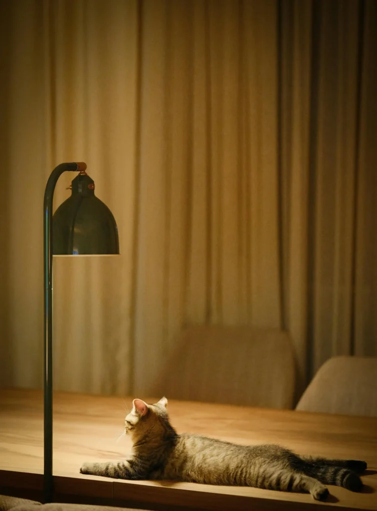 Roller Shades